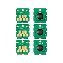 Pack 6 Chip para caja de mantenimiento Epson F170, S2101